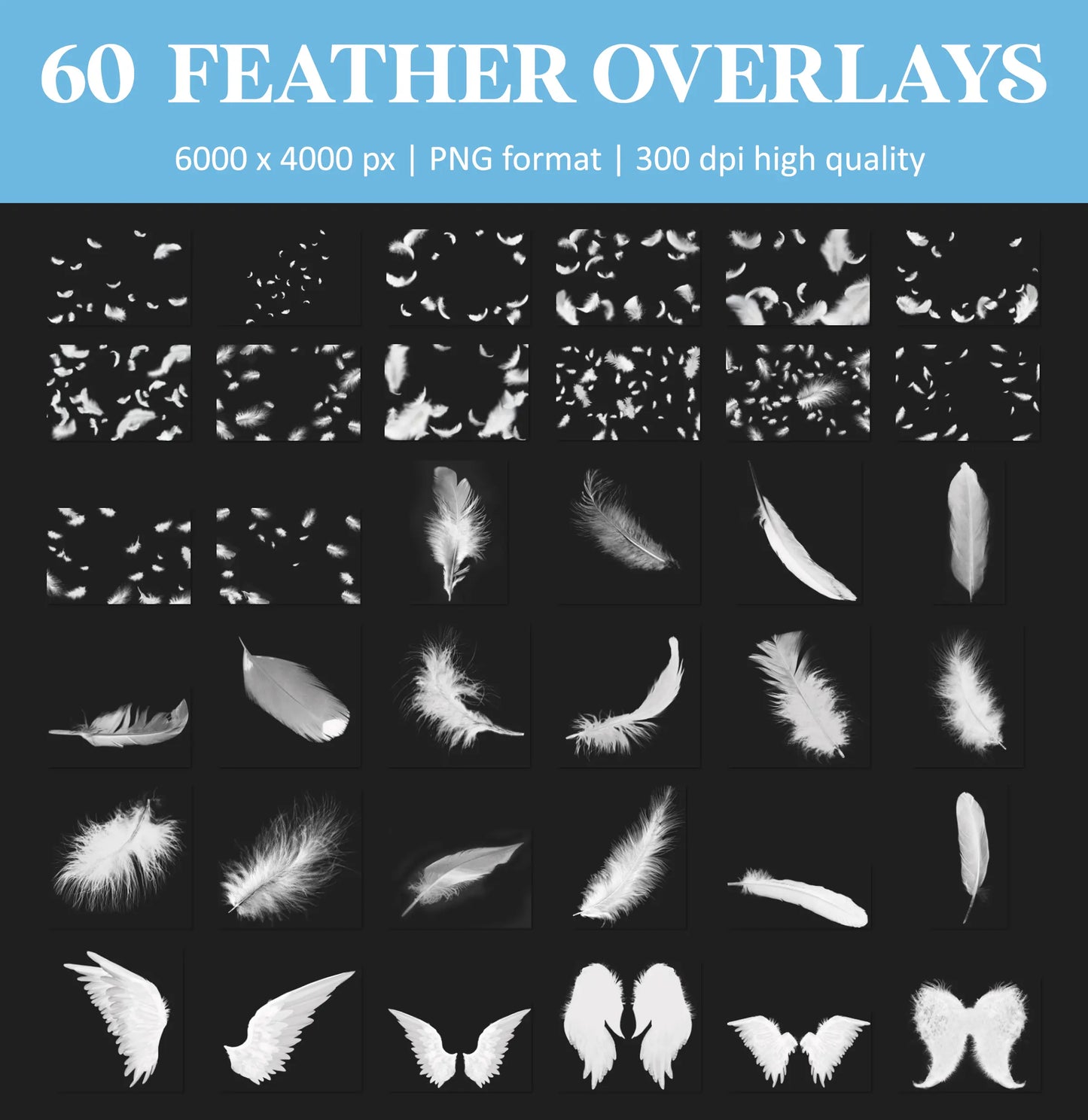 White Feather Overlays for Photoshop - Falling and Floating Feathers