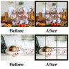 Window Frame Overlay for Photoshop ��� Digital Panes and Photo Fram