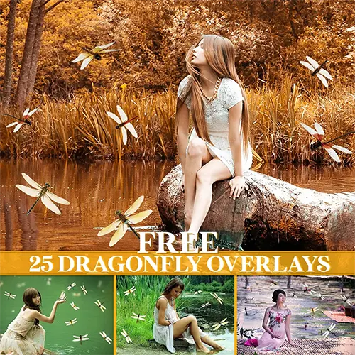 
25 Free Dragonfly Overlays (PNG)