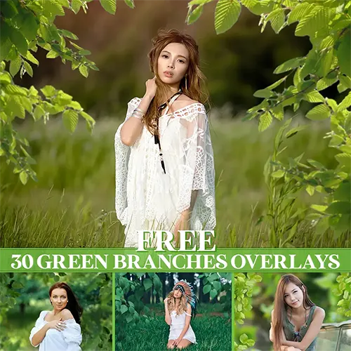 
30 Free Branch Overlays (PNG)