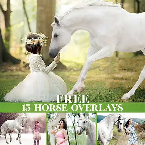 
15 Free Unicorn Overlays (PNG)